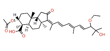 Globostellatic acid K